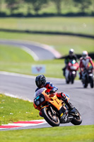 Lower Group Orange Bikes